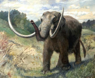 Mastodon