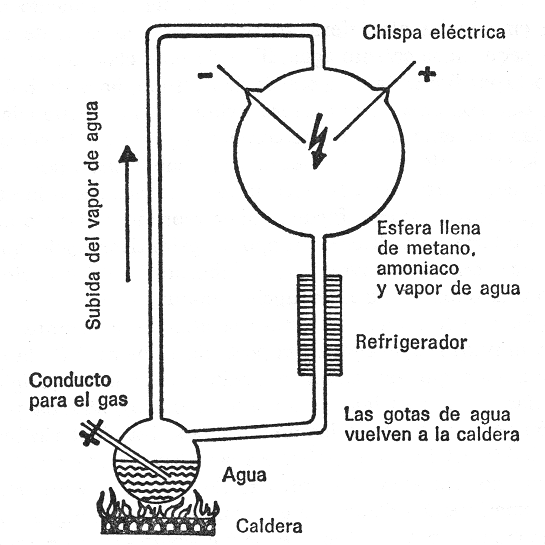 El aparato para una atm�sfera
                                      artificial de Miller, dibujo
