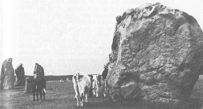 C�rculo de piedras en
                      Avebury 03