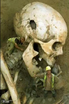 Cr�neo de un
                        gigante