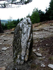 Un menhir en cuarzo
                        en la regi�n de Florac (en Francia del sur en
                        las monta�as Cevennes)