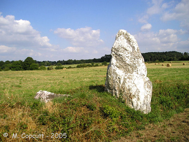 Menhir en cuarzo en la regi�n de
                          Monterrein (Francia) al lado de la ruta a
                          Morhannais