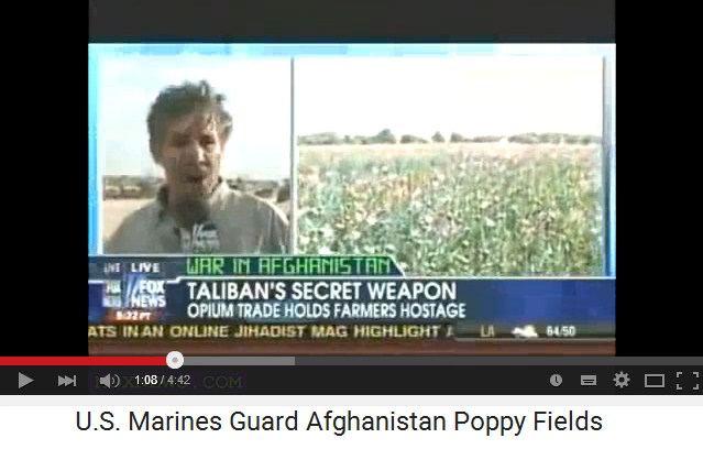 Afganistn: campos de
                    opio de la OTAN para la produccin de la droga