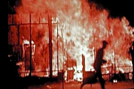 Massenmord durch Briten und
                  "Amerikaner" durch Feuersturm in Hamburg
                  1943