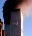 Foto 1: Un
                                  avi�n toca a una torre del WTC. Pero
                                  eso son dibujos animados falsos.
