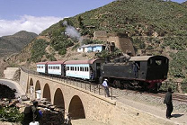 Steam
                              train from Asmara to Nefasit 2003