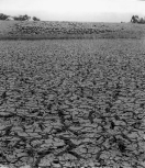 Drought in Eritrea: Dryed out soil