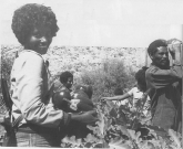 Eritrean retreat area: Harvest in the
                            garden