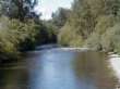 Der
                      Duwamish-Fluss , Duwamish River im Mittellauf,
                      heisst dort "Gr�ner Fluss", "Green
                      River"