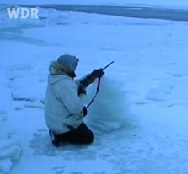 Eskimos, Robbenjagd am frhen
                          Morgen in Alaska