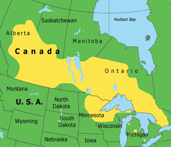 Karte der Primrnation der Ojibwa /
                          Ojibwe