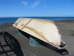 Umgestrztes Umiak diente als Iglu und
                      Sturmschutz