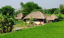 Ein Dorf in
                    West-Bengalen