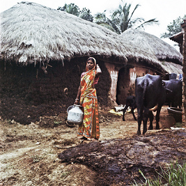 Village in Murshidabad District with
                            huts, woman and cow pats