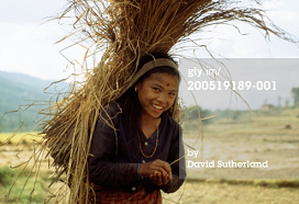 Nepal, Kathmandu Valley, woman with rice
                      harvest