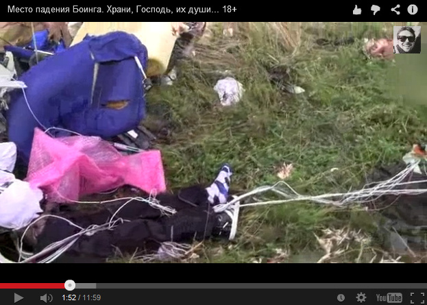 Rubber doll
                      with a valve on a meadow half under luggage