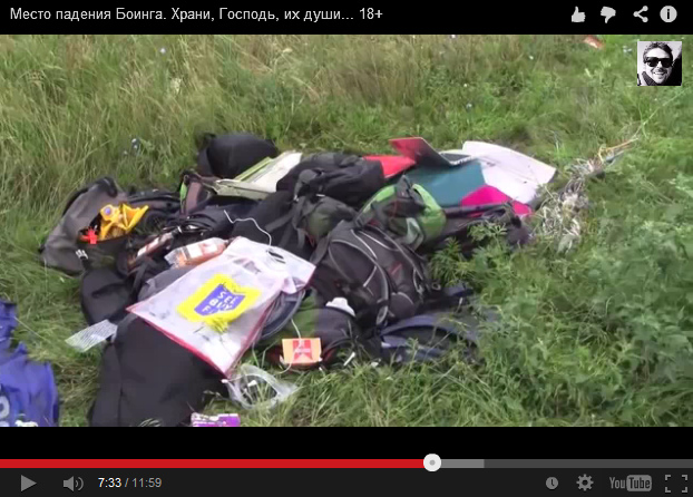 Hand luggage
                      with laptop open in the meadow without any dust
                      nor earth remnants