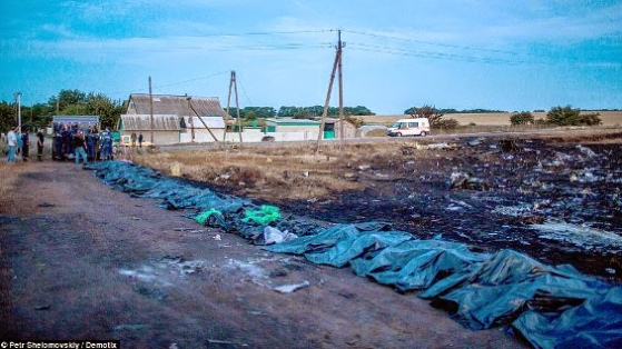 Puppets and old dead bodies in garbage bags
                      in a file? Grabovo