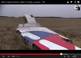 tail fin
                          in a wheatfield tail fin in a wheatfield