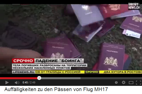 A police officer is playing with brand-new
                    passports on a meadow A police officer
                    is playing with brand-new passports on a meadow