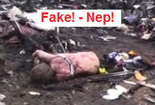 Ein Dummy liegt praktisch
                                      unbesch�digt und mit weissem BH in
                                      einer Feuerstelle - Fake!