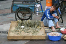 Shantou /
                        Swatow: Gem�severkauf, Rikscha