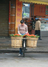 Shantou / Swatow: Gem�se-Velotransport