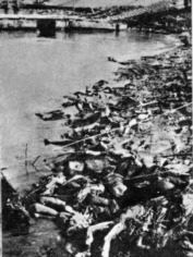 Nanking 1937: Massenmord am Yangtse bei
                          XiaGuan
