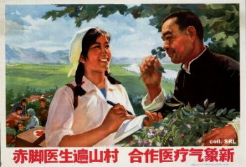 Plakat der Kulturrevolution 1974: �rzte
                        aufs Land, Zusammenarbeit beim Pflanzentest