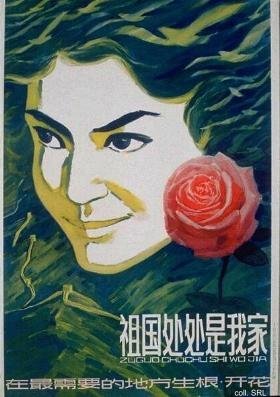 Plakat 1984 der freiwilligen
                        Kampagne "Studenten auf die Berge und hinab
                        in die D�rfer": Rose schl�gt Wurzeln