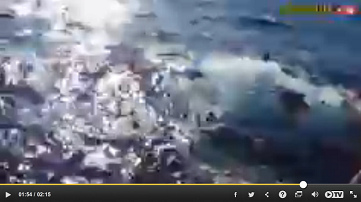 Sinking tourist ferry in Thailand between
                        Phuket and Similan Islands 05