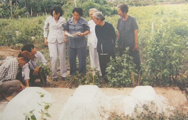 Das Massaker von Thanh Phong am 15.2.1969 - Grber fr die drei Grosskinder von Bui Van Vat