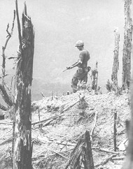 Soldat
                          im toten Wald (dpa)