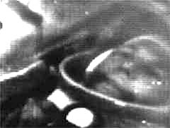 Dies soll
                          Juri Gagarin in seiner Kapsel sein, während
                          der Mission "Wostok 1" im Modell
                          "Wostok 3".