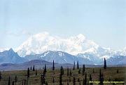 Mount-McKinley
(Denali)-Bergmassiv, Panorama Mount-McKinley
(Denali)-Bergmassiv, Panorama
