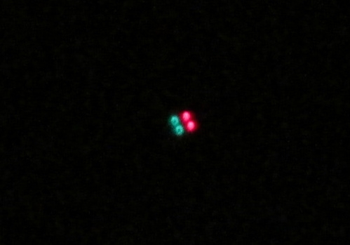 Objeto ovni rojo verde sobre Lima Los Olivos 02,
              se ve dos luces rojas y dos luces verdes - 25-12-2016,
              foto de 0h11min.44seg.