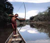 Ureinwohner jagt
                    Fische mit Pfeil und Bogen