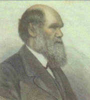 Charles Darwin 03 old, profile