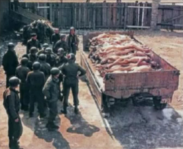 Falsches Auschwitz-Foto mit
                        "amerikanischen" Soldaten und
                        deutschen Leichen auf einem Lastwagenanhänger