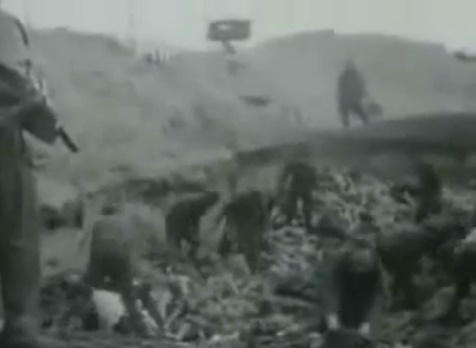 Eine SS-Mannschaft in
                            einer Leichengrube unter britischer
                            Maschinengewehrbewachung (23min.55sek.)