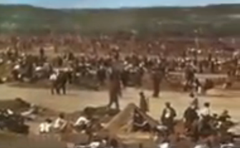 Rhine meadow camp, little tents on naked earth