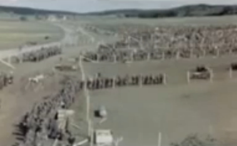 Rhine meadow camp with a queue in the
                            sun in summer 1945 (21min. 10sec.)