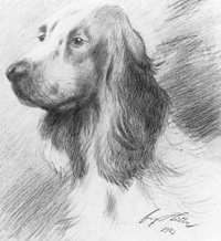 Hitler drawing of a dog, 1927