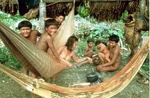 Indio-Ureinwohner in Brasilien in
                              H�ngematten