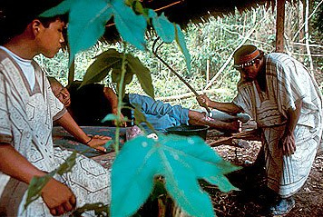 Ein
                          einheimischer Heiler (Schamane) im
                          peruanischen Urwald bei einer Heilprozession