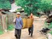 Tee-Ernte in China, Transport
                        ohne Rad