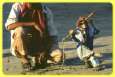 Bombay
                        / Mumbai : Strassenk�nstler mit Affe, Gaukler