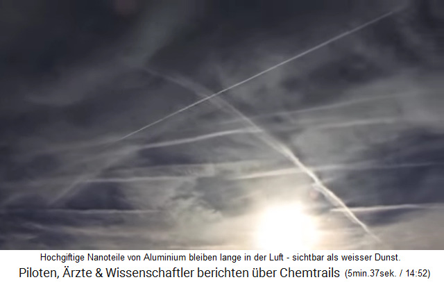 Der weisse
                                Dunst in der Atmosph�re besteht aus
                                hochgiftigen Nanoteilen Aluminium