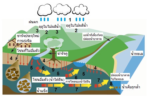 ต้นกำเนิดของน้ำ บาดาล, 03
                        โครงการโดยไม่มีชั้นดิน เหนียวที่มีชาย
                        หาดและทะเล