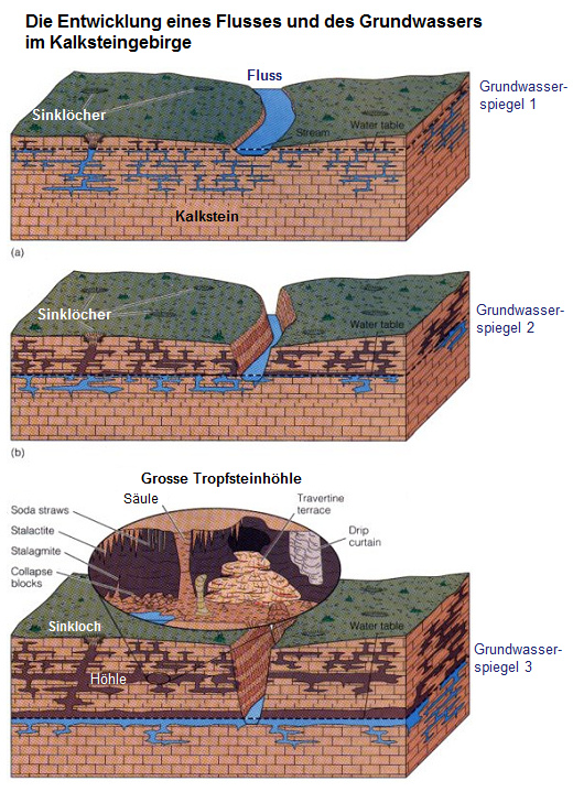 Schema 13: Sinkender Fluss
                                    "gräbt sich ein" und
                                    provoziert einen sinkenden
                                    Grundwasserspiegel